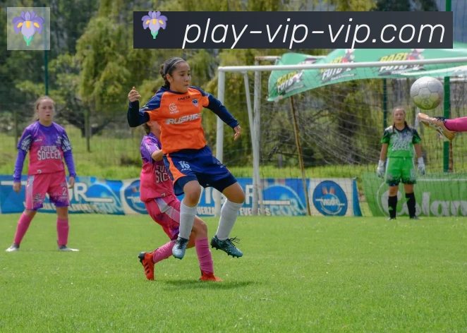bbin体育APP 体育赛事宣传图